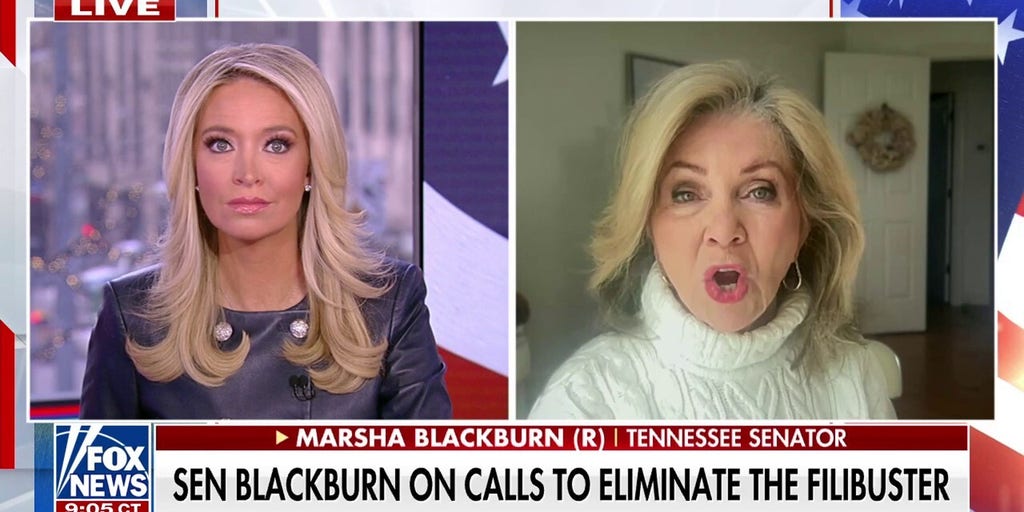 Senators renew push to pass SAVE Act to ensure 'only citizens are voting'