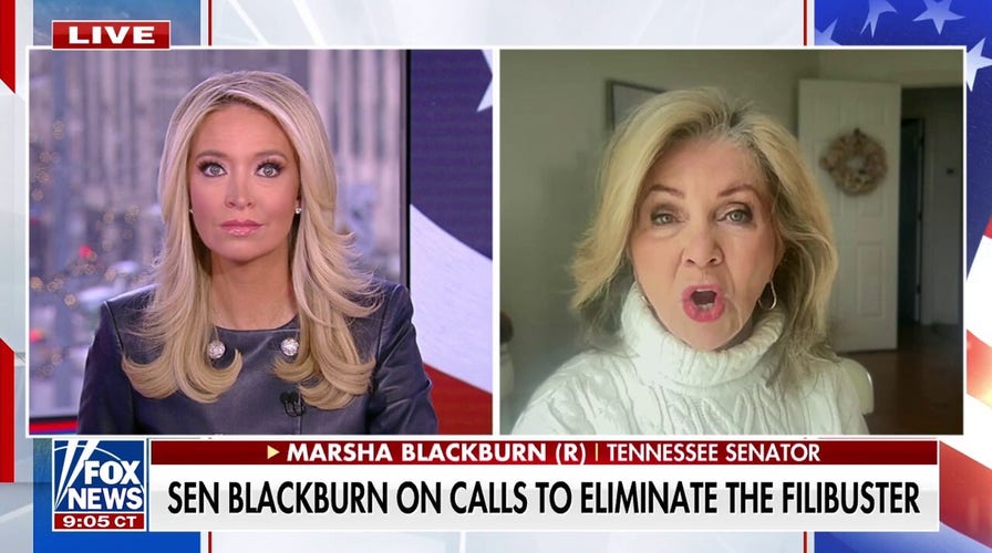 Senators renew push to pass SAVE Act to ensure 'only citizens are voting'