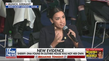 Democratic contenders look to boost political profiles in Munich 