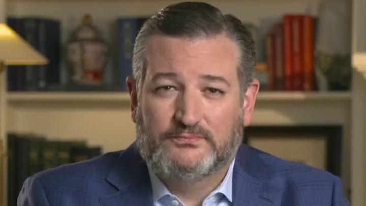 Sen. Cruz slams Facebook, Big Tech for 'operating as an extension of the US government'