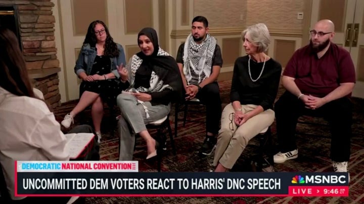 Panel of uncommitted voters shred Harris’ DNC speech mentioning war in Gaza, warn she may 'put Trump' in office 