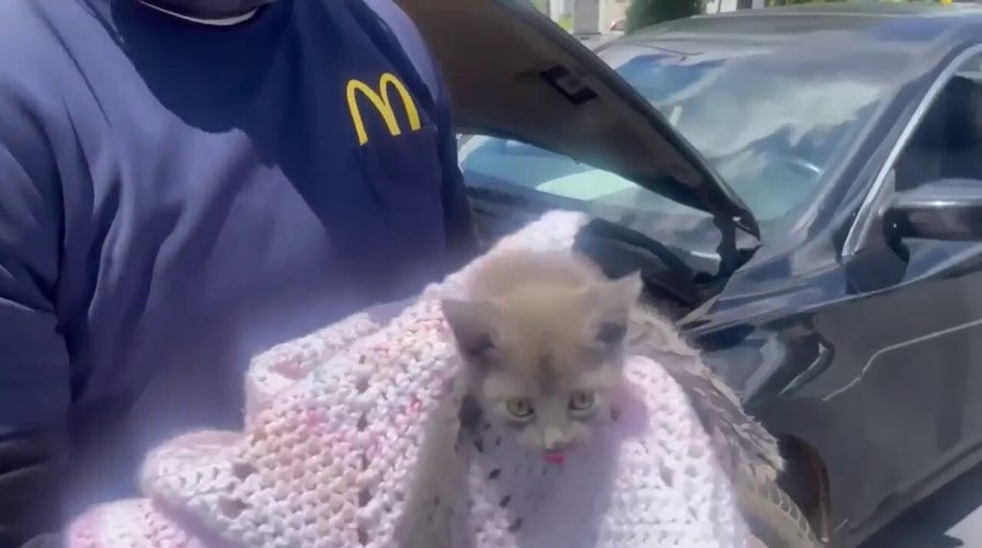 McDonald's employee rescues stowaway kitten from inside car with help of police