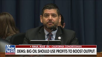 Democrats fear voter blame over high gas prices