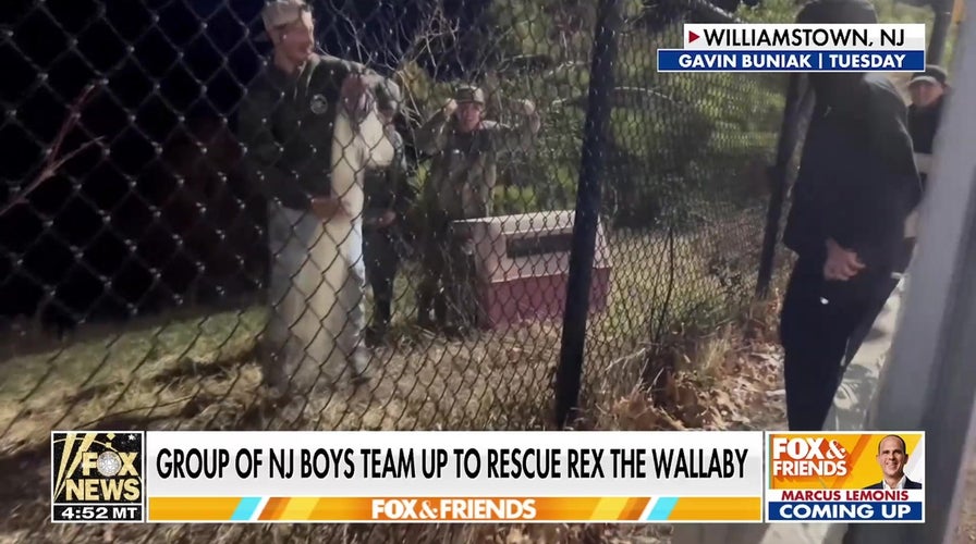 NJ boys recount heroic rescue of wallaby aft  it escaped farm