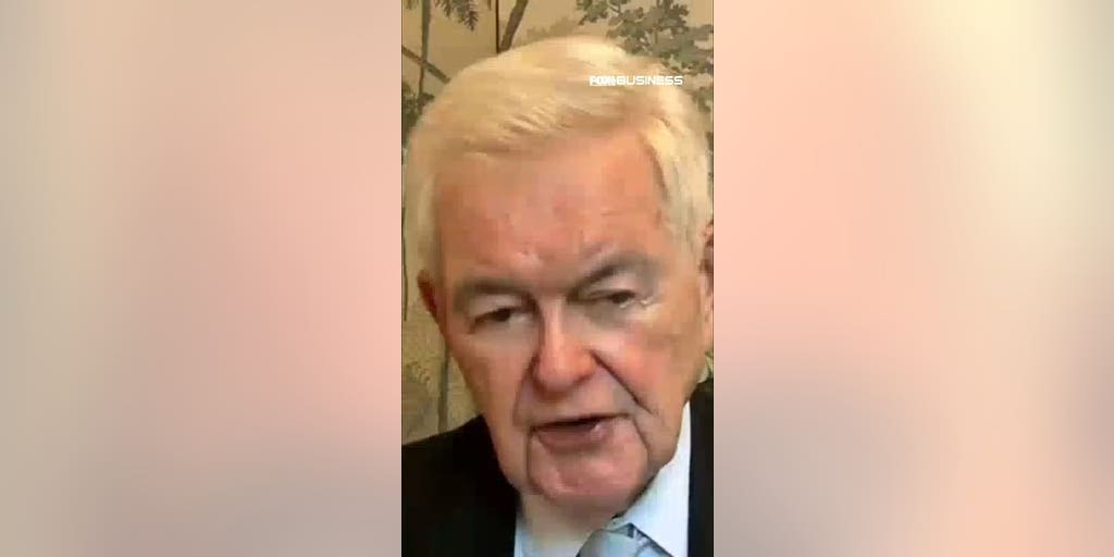 Newt Gingrich sounds off on 'weird' Democratic values