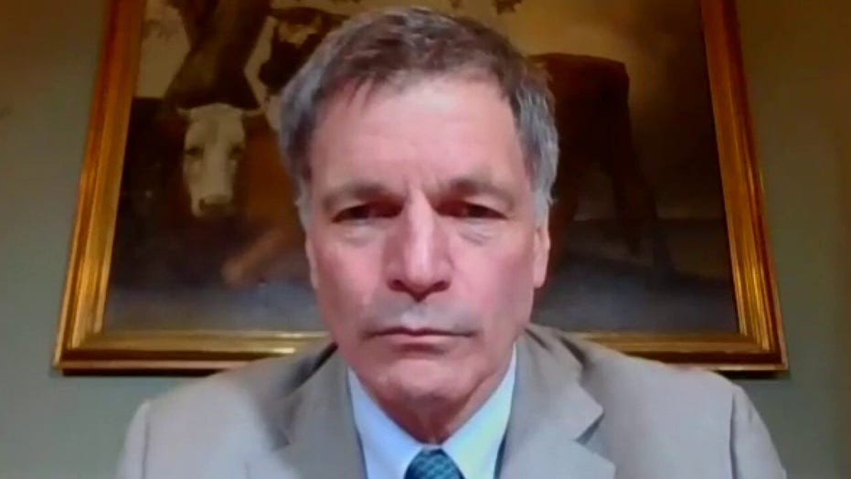 Wyoming Gov. Mark Gordon on plunge in oil prices Fox News