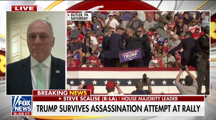 The left’s rhetoric ‘charged the shooter’: Steve Scalise