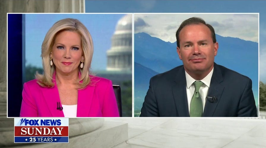 Congress should avoid legislating gun reform in the 'heat of the moment': Sen. Mike Lee