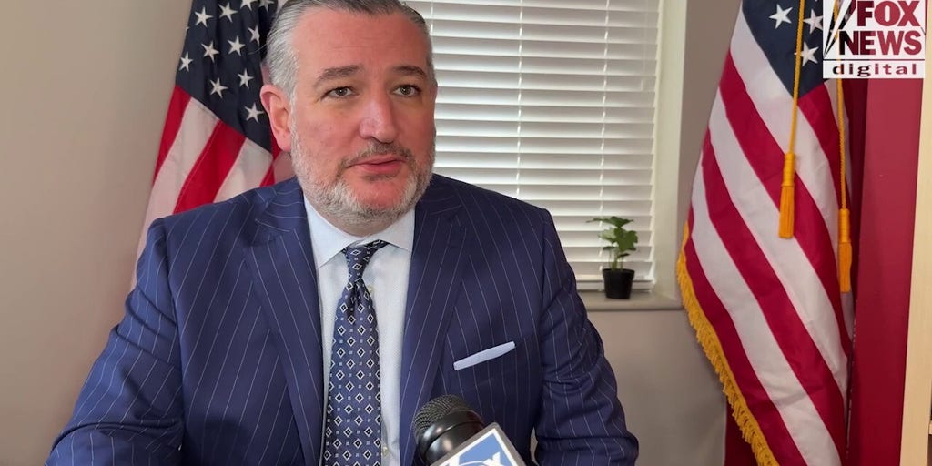 Sen Ted Cruz argues that ‘Democrats are putting every American at risk’ with DHS shutdown