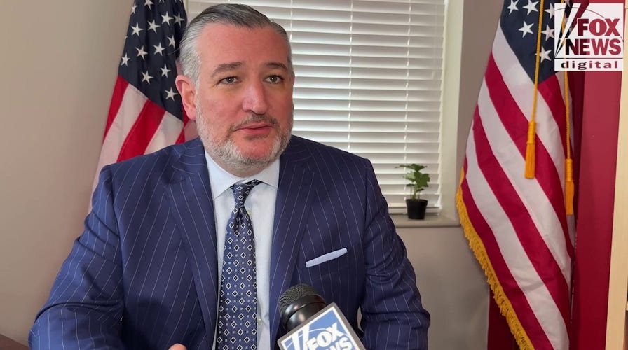 Sen Ted Cruz argues that ‘Democrats are putting each   American astatine  risk’ with DHS shutdown