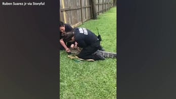 Texas man accidentally reels in alligator while fishing: video