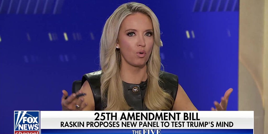 Kayleigh McEnany: The Democrats have lost ‘all credibility’