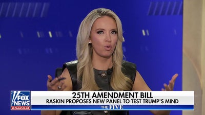 Kayleigh McEnany: The Democrats have lost ‘all credibility’
