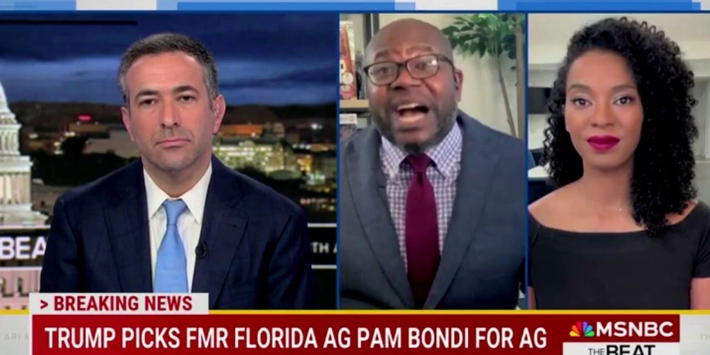 Professor on MSNBC warns ‘we should all fear’ new attorney general pick Pam Bondi ‘because she’s competent’