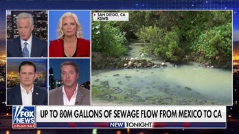 Mexico is ‘perpetuating chemical warfare’ with Tijuana River sewage, threatening military training