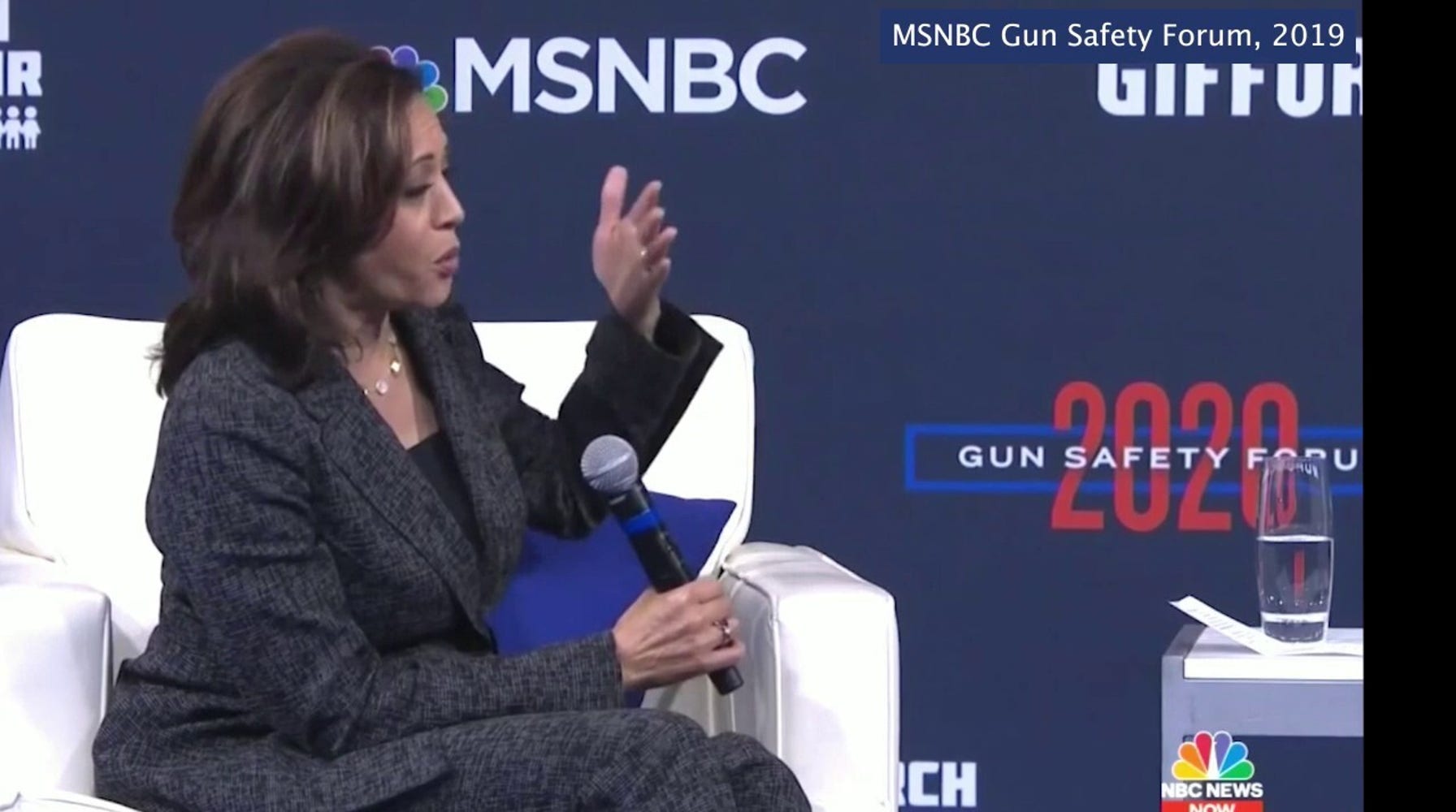 Kamala Harris's Controversial Gun Buyback Program Stance Resurfaces Ahead of Democratic Convention