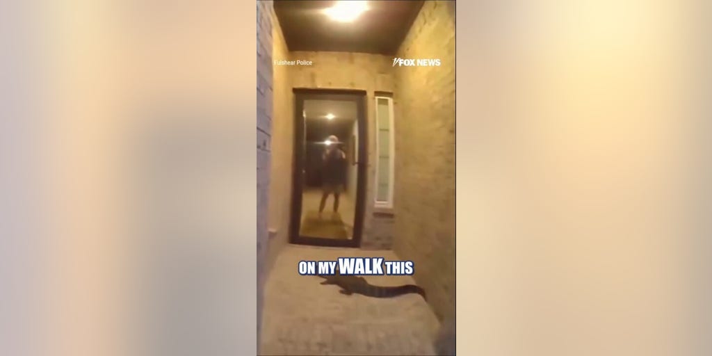 Homeowner comes FACE-TO-FACE with alligator at front door
