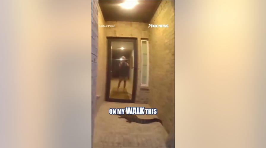 Homeowner comes FACE-TO-FACE with alligator at front door