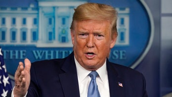 Acting DHS secretary on restricting domestic travel: 'All options on the table'