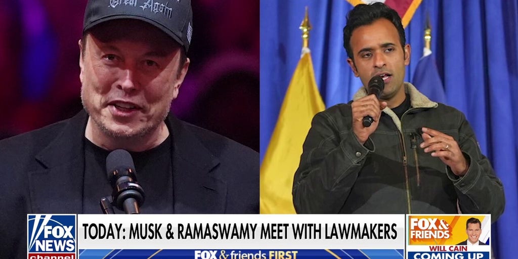 DOGE leaders Musk, Ramaswamy to meet with lawmakers: 'Huge success for the American people'