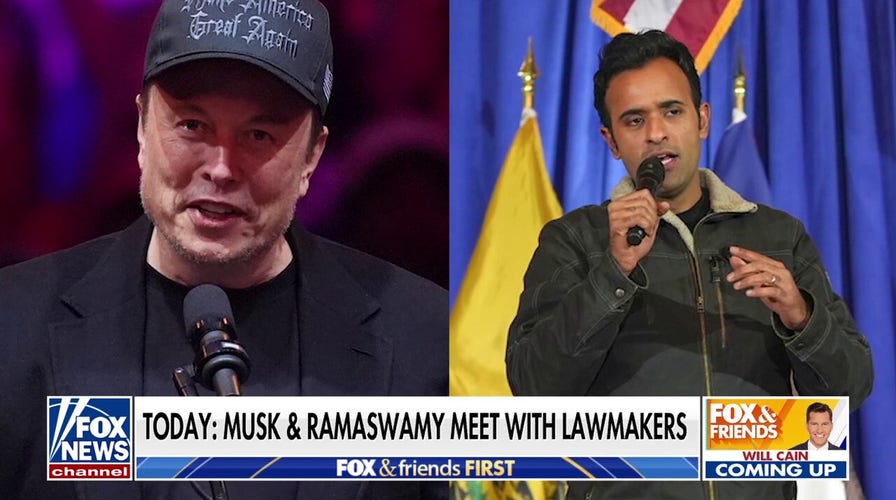 DOGE leaders Musk, Ramaswamy to meet with lawmakers: 'Huge success for the American people'