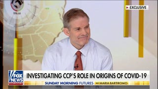 Jim Jordan demands answers on COVID origins: Why was Fauci 'so consumed' with countering lab theory? - Fox News