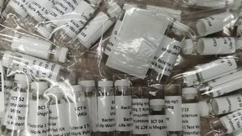 Fake COVID-19 tests seized by CBP