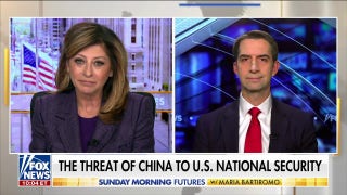 TikTok has become a ‘propaganda machine’ for China: Sen. Tom Cotton - Fox News