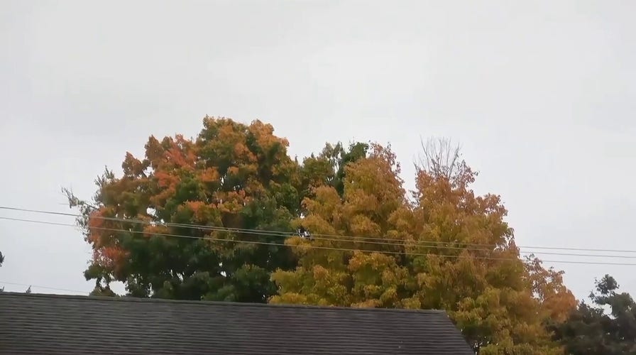 Colorful leaves seen throughout parts of New Jersey ahead of the first official day of fall