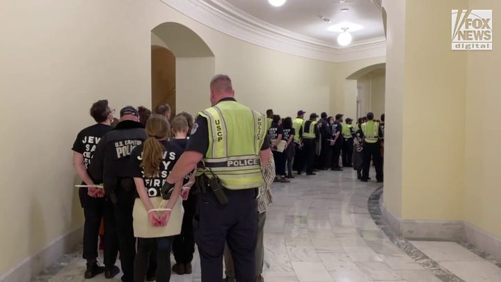 Demonstrators detained by Capitol Hill police during a large protest inside rotunda