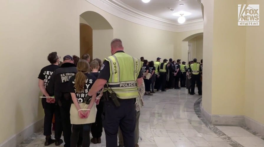 Demonstrators detained by Capitol Hill police during a large protest inside rotunda