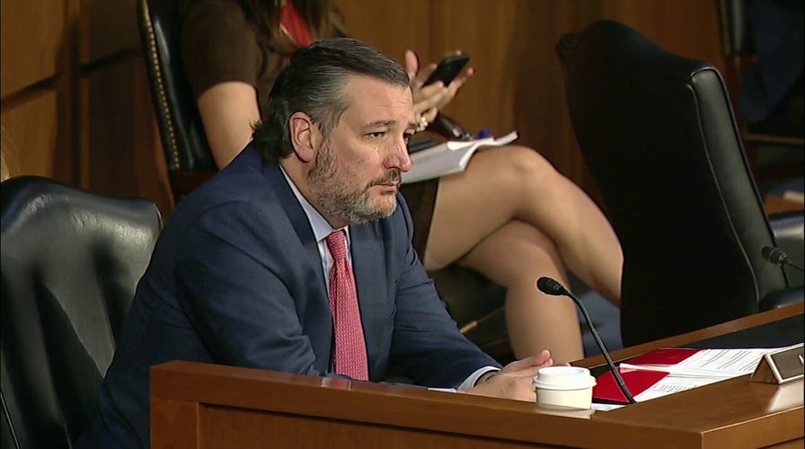 Cruz calls out Dems for 'ridiculous theater' after shooting, while agreeing that action is needed
