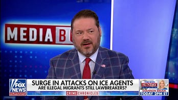 Democrats, media accused of 'encouraging' attacks against ICE: 'Heinous'