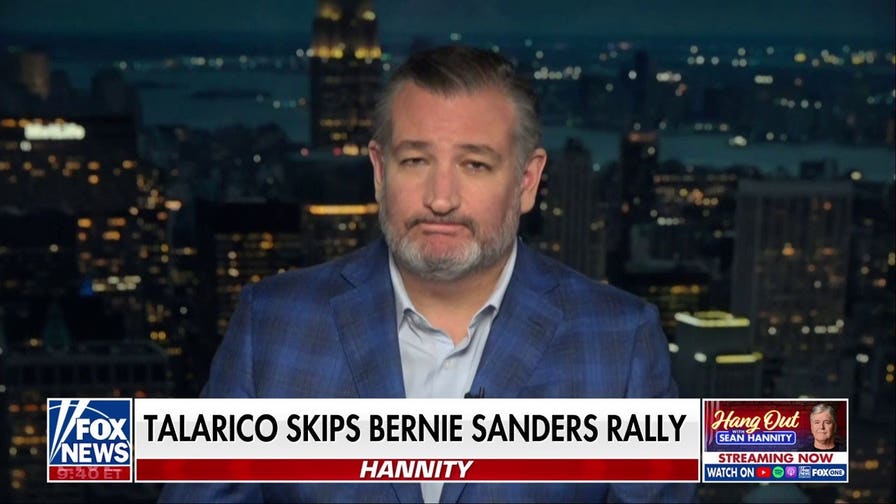 Abdul El-Sayed ‘flat-out lied’ in Muslim Brotherhood inquiry, Sen Ted Cruz says