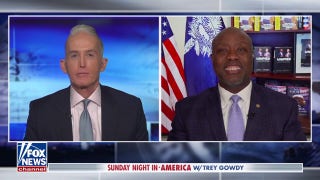 Sen. Tim Scott explains the rationale behind Trump's 90-day tariff pause - Fox News