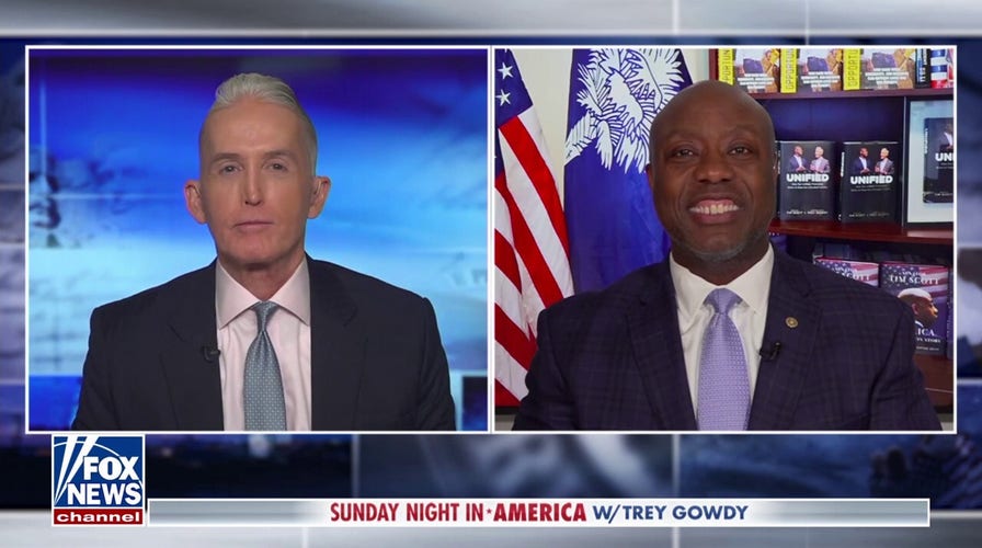 Sen. Tim Scott explains the rationale behind Trump's 90-day tariff pause