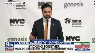 Mamdani defends endorsement of Democratic socialist candidate over past posts
