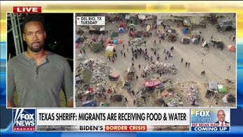 Haitian migrants attack ICE officers after deportation