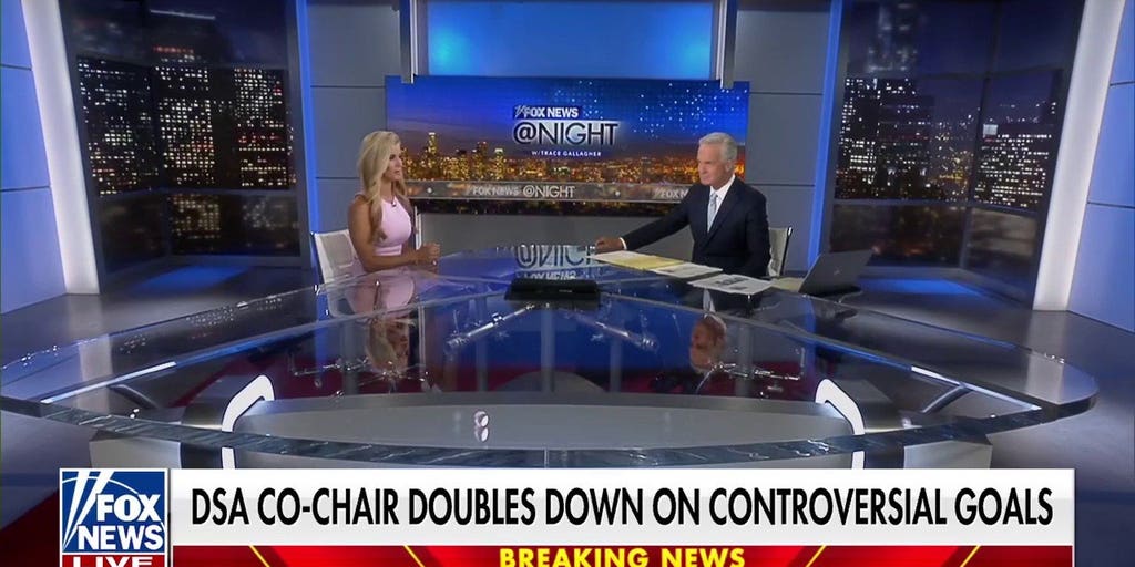 Democratic Socialists of America is a 'flesh-eating virus,' political strategist says