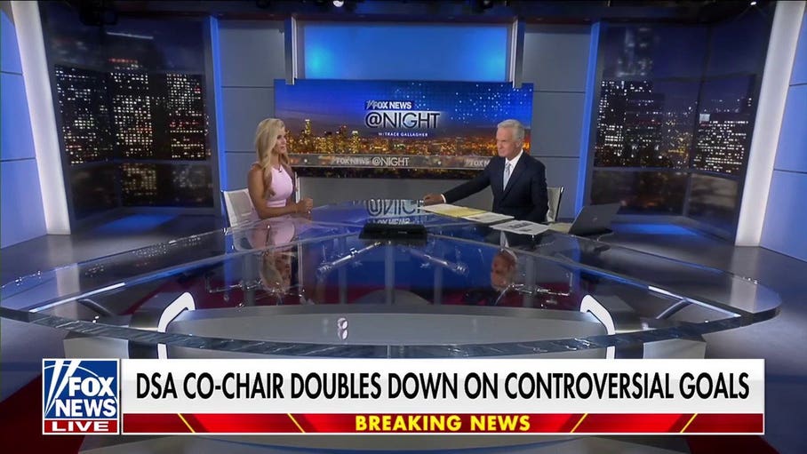 Democratic Socialists of America is a 'flesh-eating virus,' political strategist says