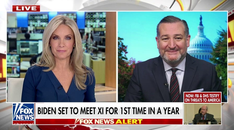 Sen. Ted Cruz addresses antisemitism on college campuses: 'This is the Wuhan lab of the woke virus'