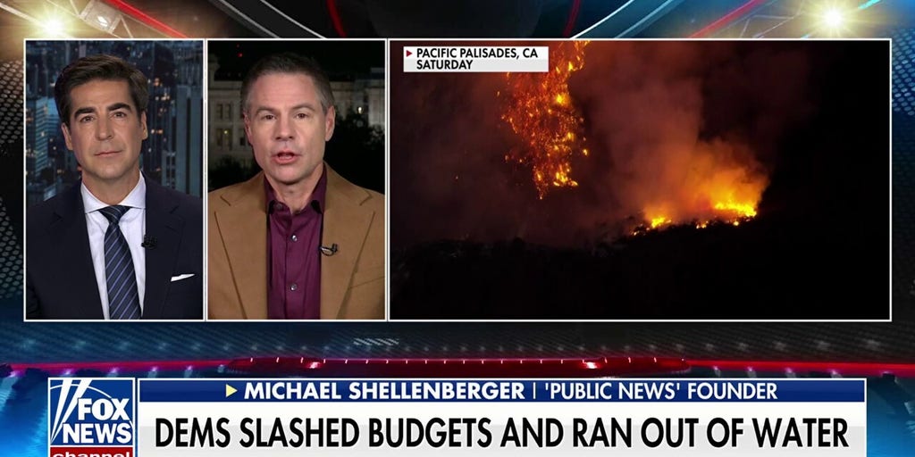 California leadership 'demoralized' firefighters, Michael Shellenberger says