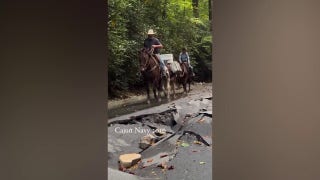 Mules help deliver supplies to communities in need in North Carolina - Fox News