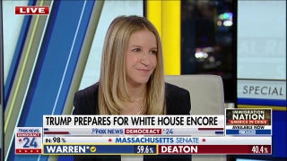 Kamala Harris wasn't able to convince voters she was an 'agent of change,' says Democratic pollster - Fox News