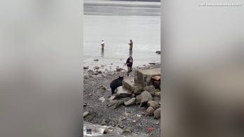 Bear with us! Watch as fishermen are unfazed as ursine visitor comes to join them