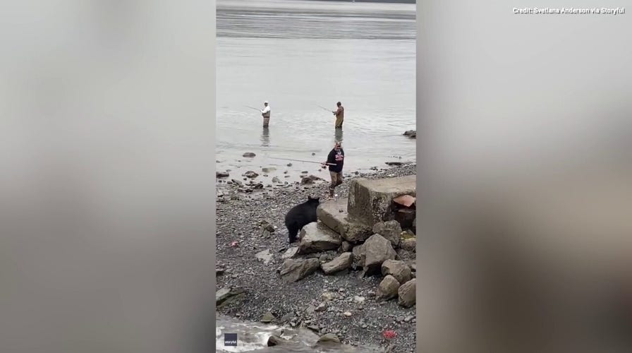 Bear with us! Watch as fishermen are unfazed as ursine visitor comes to join them