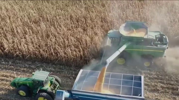 Iowa farmer accuses China of stealing billions of dollars of Americas patented seeds