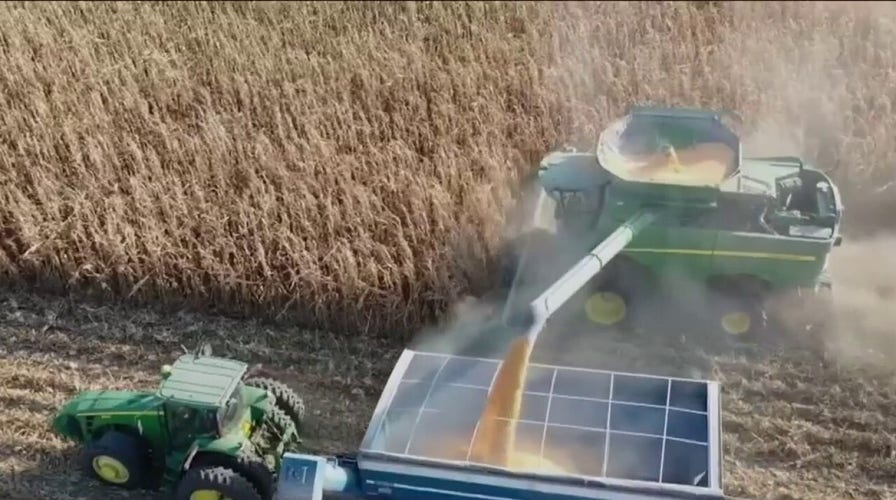 Iowa farmer accuses China of stealing billions of dollars of Americas patented seeds