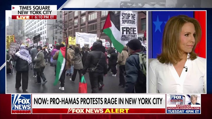 Protests erupt in NYC after judge allows for pro-Hamas activist's deportation