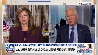 Peter Navarro touts Trump's 'Goldilocks' economy citing low inflation, job growth